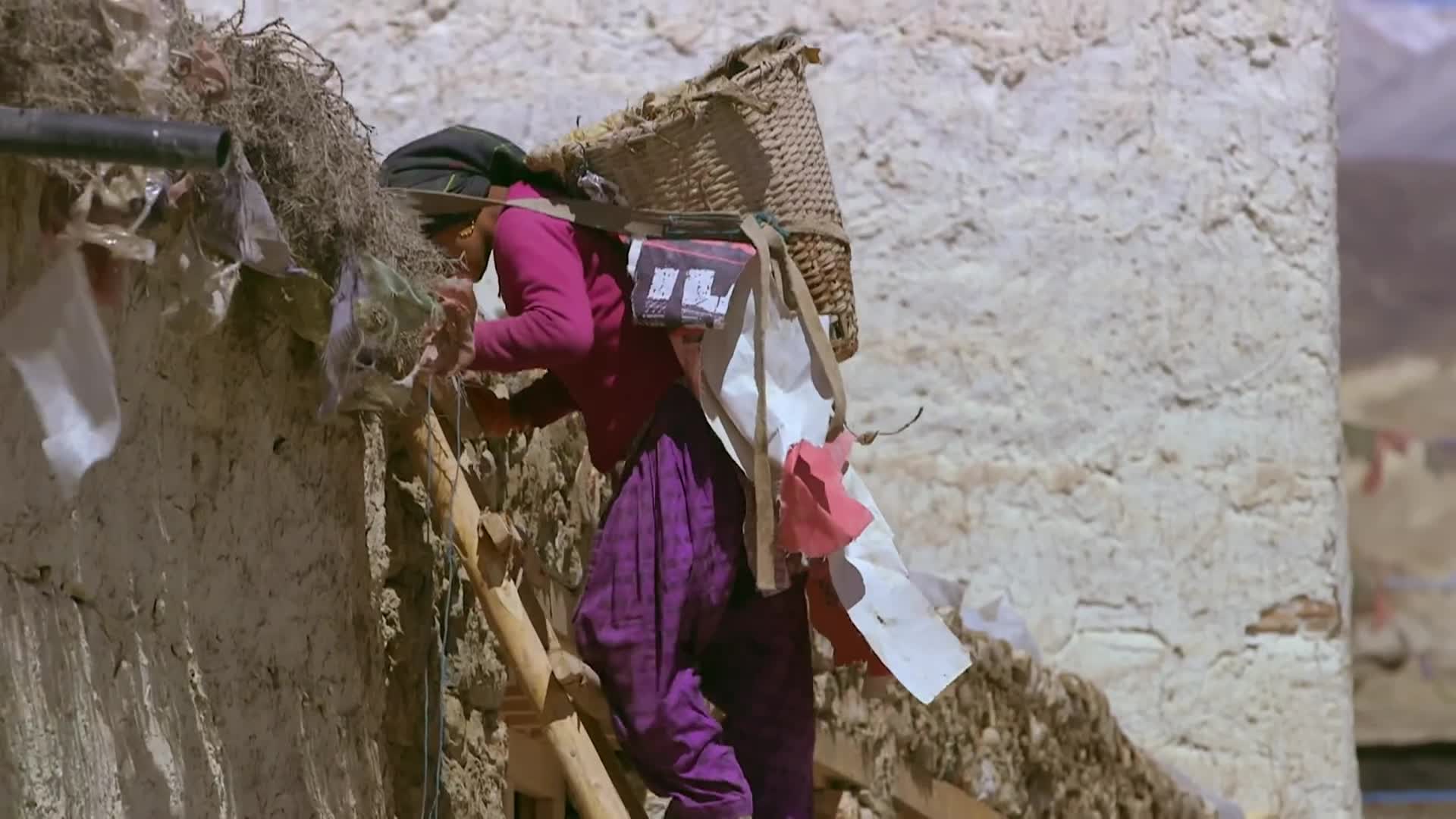 Habitats Of The World: "Nepal"