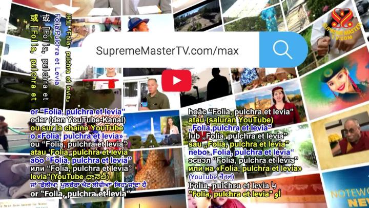 Thumbnail image for Vegan Cooking Show: "Vegan Zucchini Lasagna"