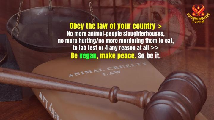 Thumbnail image for Vegan Cooking Show: "Green Papaya & Green Mango Salad"