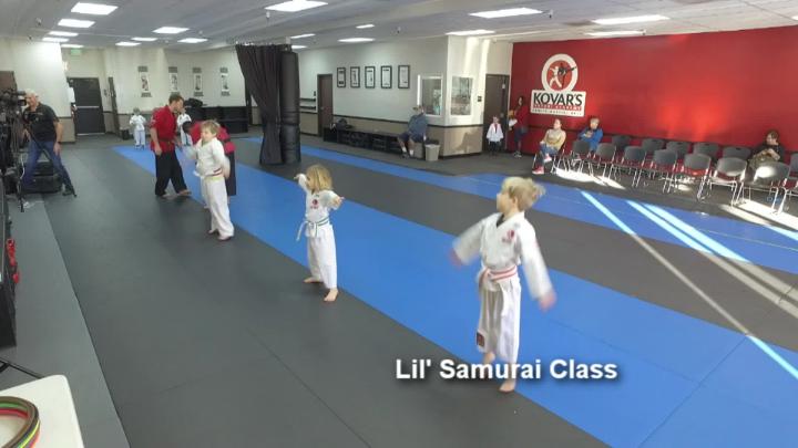 Thumbnail image for Kovar's Satori Academy