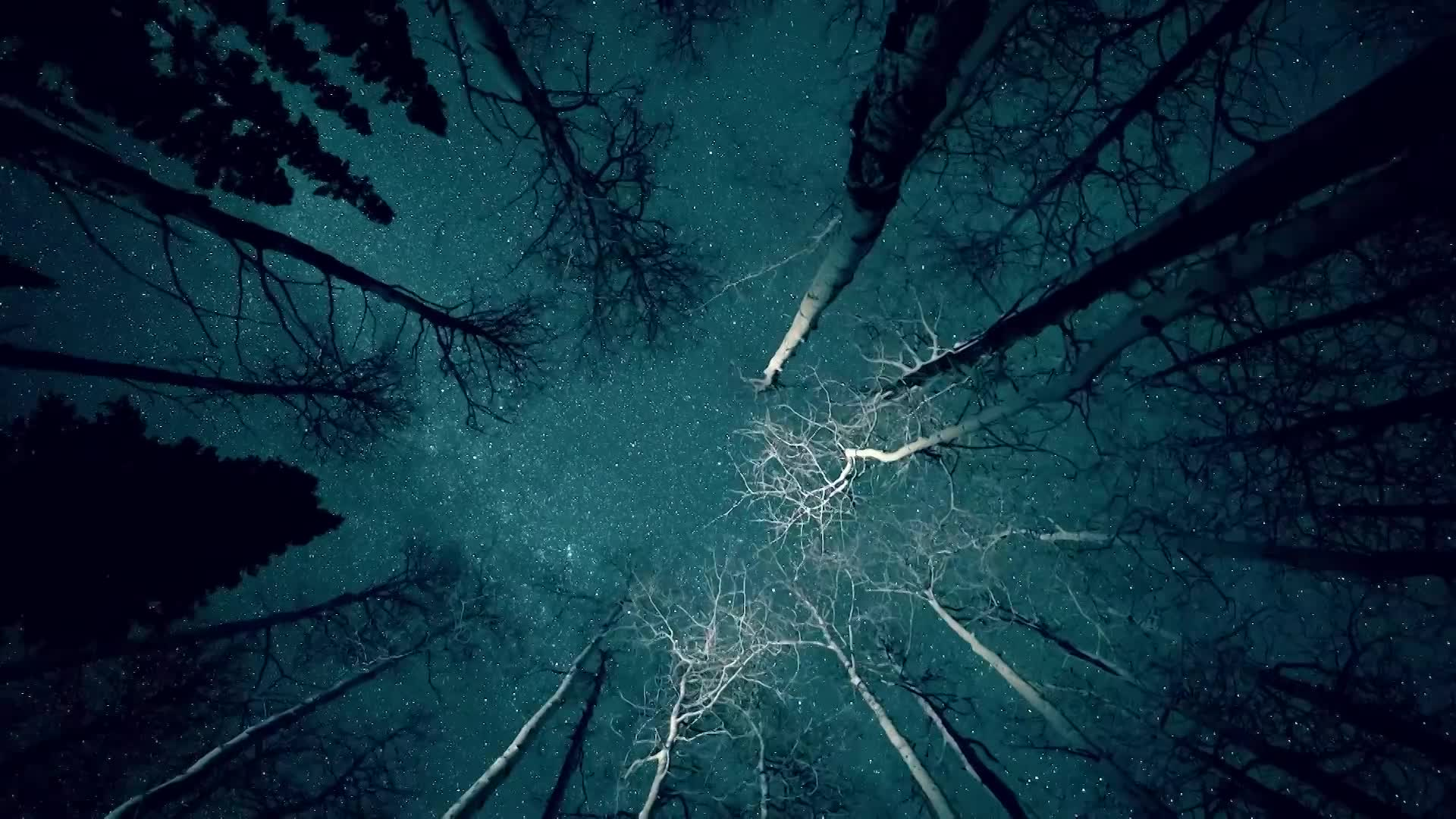 2077 - 10 Seconds To The Future: "Global Estrangement"