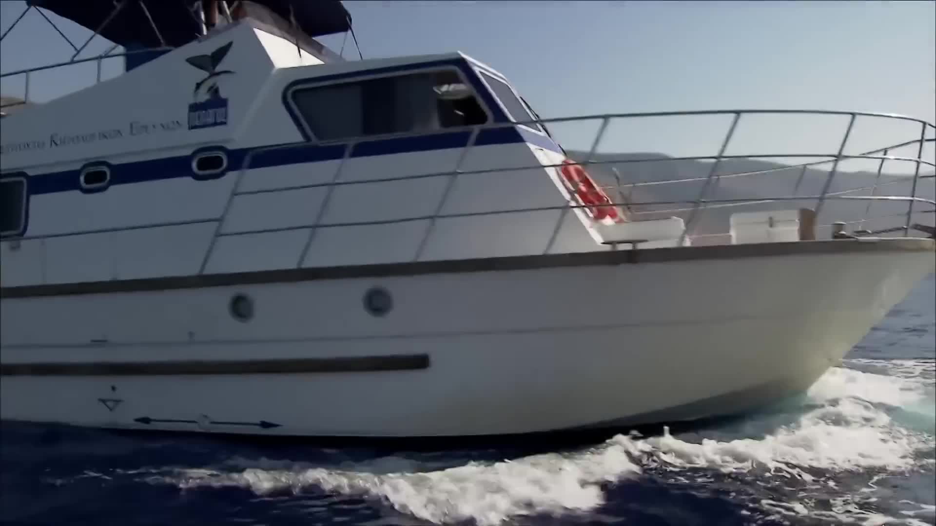 Thumbnail image for Ocean Stories: "The Fascinating World Of Life Underwater"