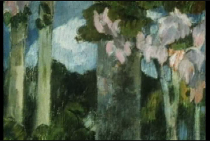 National Gallery Of Art: 'Paul Gauguin & Willem De Kooring'