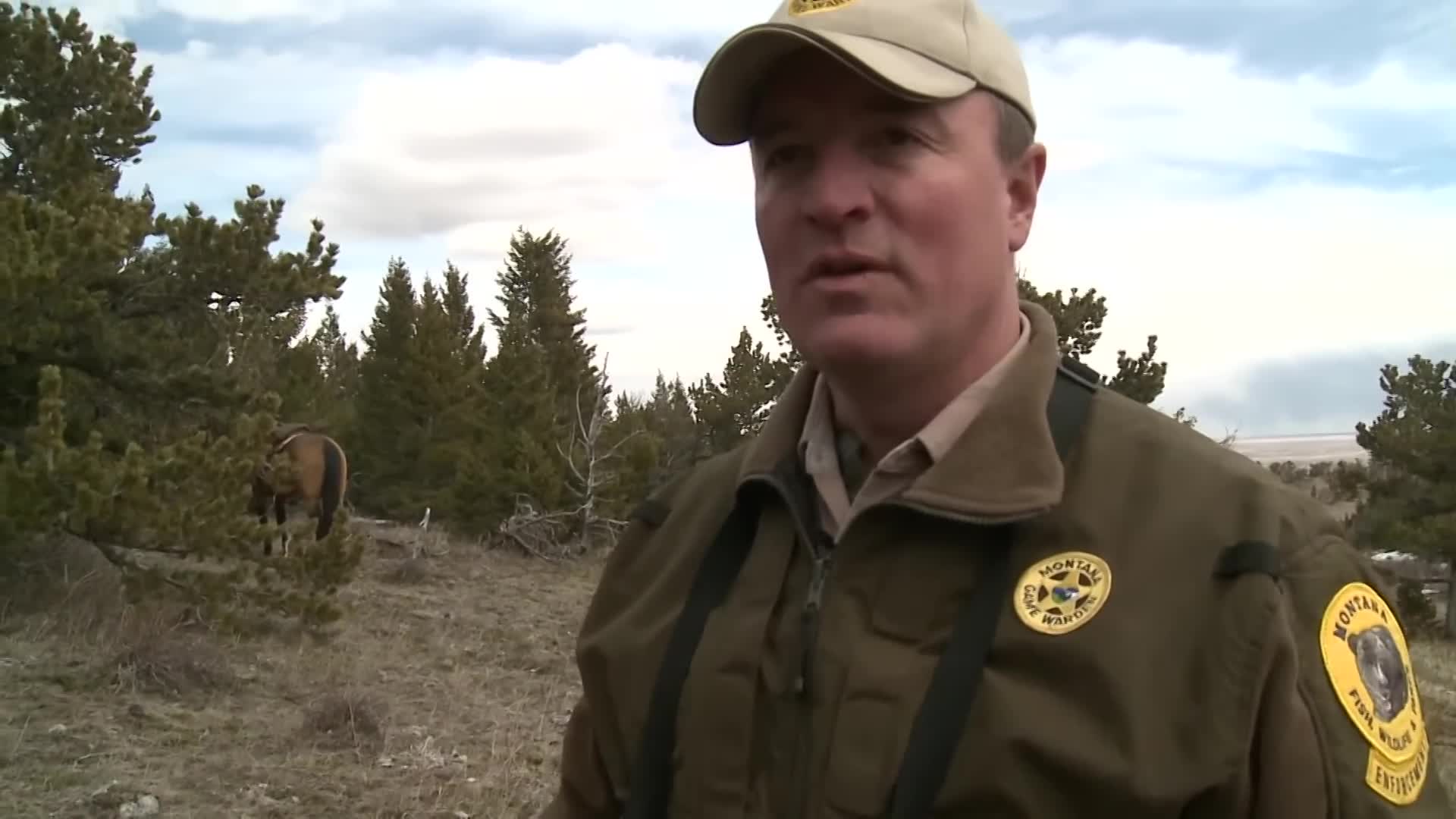 Wardens: "Operation Antler Blitz"