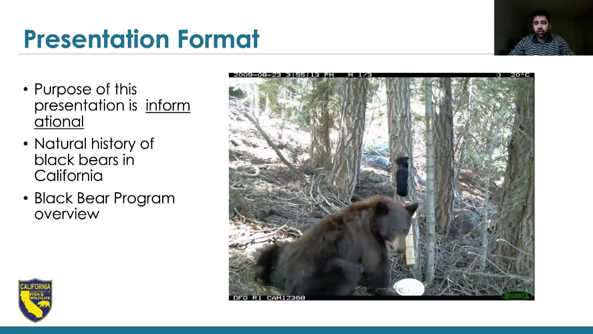 Thumbnail image for California Department Of Fish And Wildlife: "Black Bears In California"